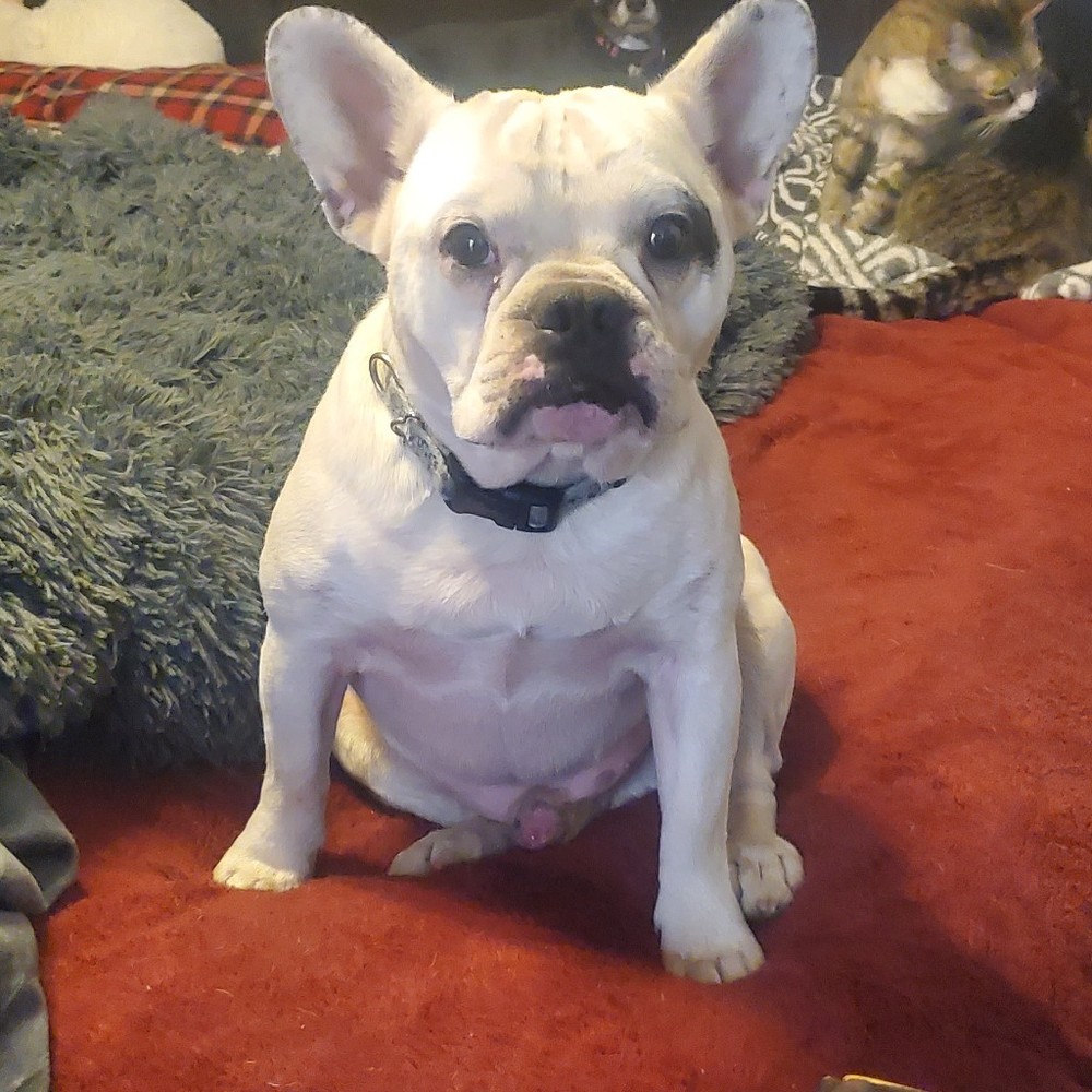 Meet your Posher, Posh